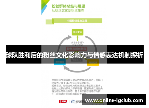 球队胜利后的粉丝文化影响力与情感表达机制探析