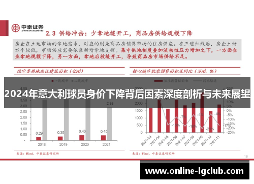 2024年意大利球员身价下降背后因素深度剖析与未来展望