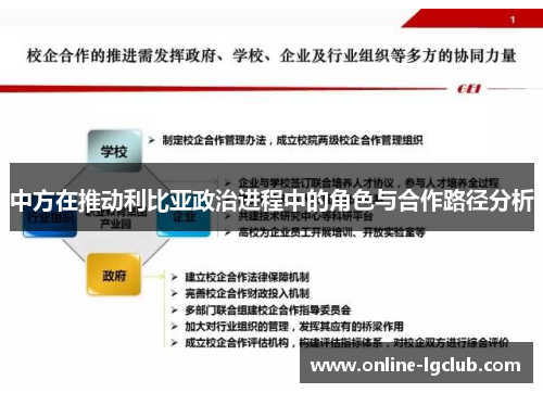 中方在推动利比亚政治进程中的角色与合作路径分析 中方在推动利比亚政治进程中的角色与合作路径分析